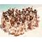 AKB＊LOVE＊48