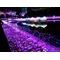 [D:F8D3][D:F9F6]酔族館[D:F9F6][D:F8D3]