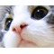 俺様ちゃん