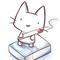 三毛猫☆残党極悪集会