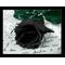 Black rose