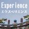 Ｅｘｐｅｒｉｅｎｃｅ