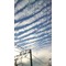 しましま雲[V:4769]
