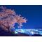 桜舞い散る丘の集い