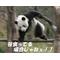 喫茶＊バロン＊