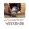 【WEEK END】